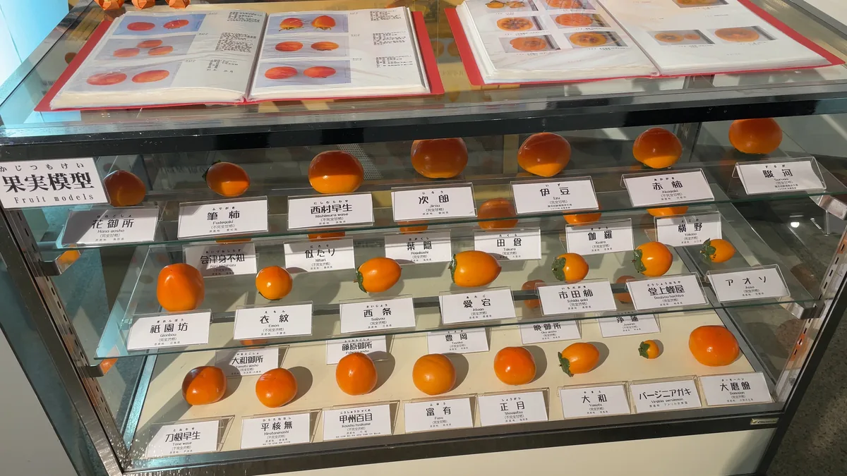 柿博物館の写真6