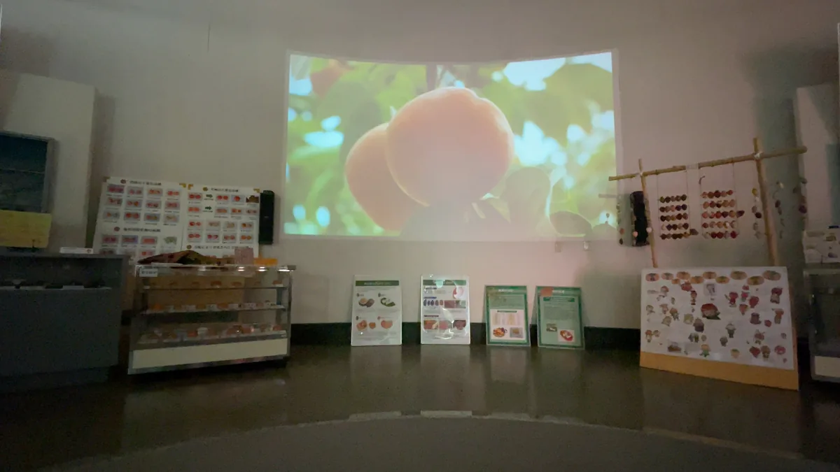 柿博物館の写真7