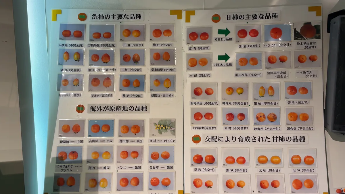 柿博物館の写真9