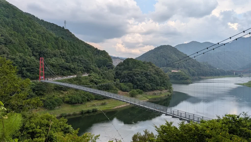 静寂と木の香りに癒やされる。水の郷 龍游で楽しむ大人の気ままなソロ散策